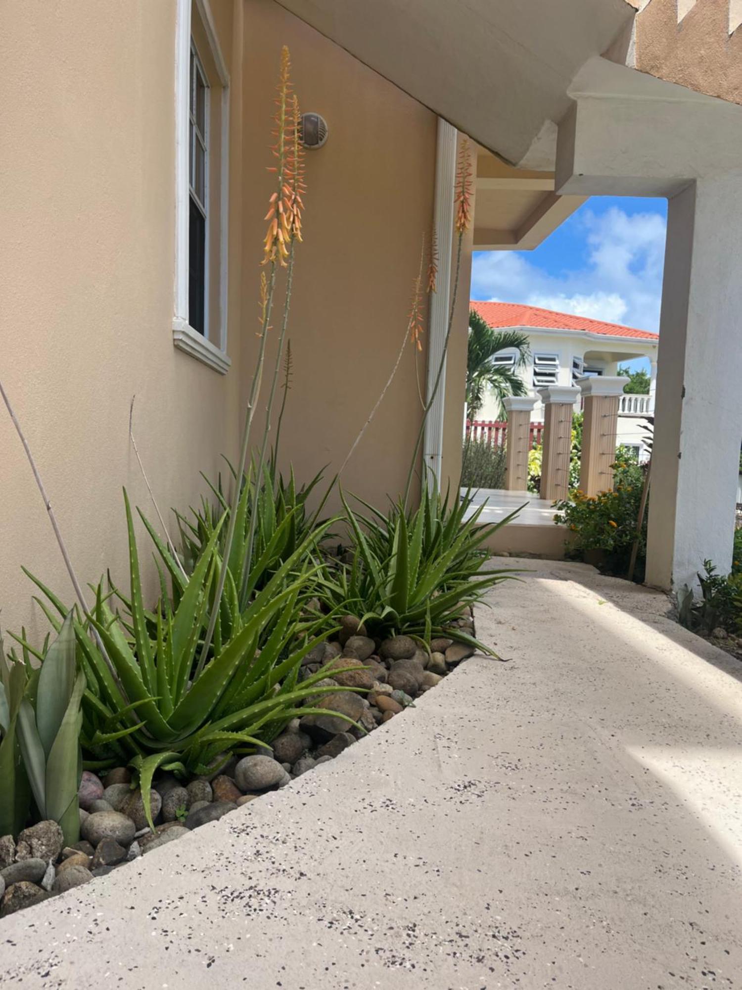 Belle Breeze Haven Daire Gros Islet Dış mekan fotoğraf