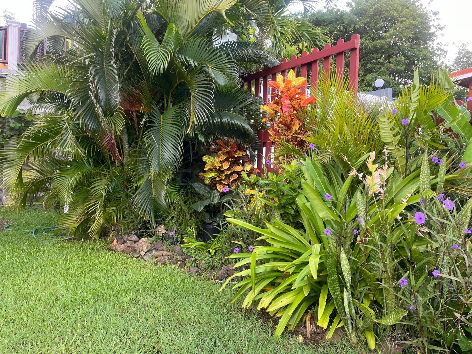 Belle Breeze Haven Daire Gros Islet Dış mekan fotoğraf